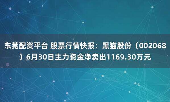 东莞配资平台 股票行情快报：黑猫股份（002068）6月30日主力资金净卖出1169.30万元