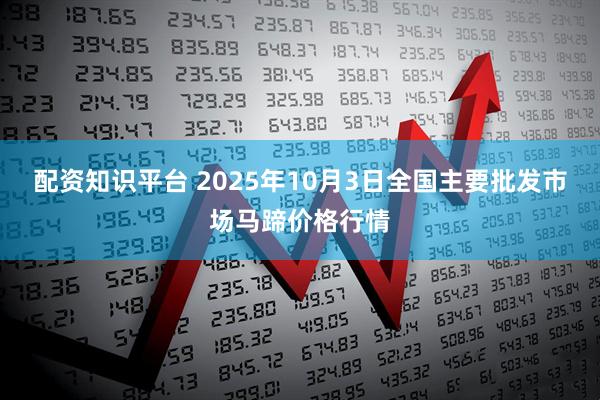 配资知识平台 2025年10月3日全国主要批发市场马蹄价格行情