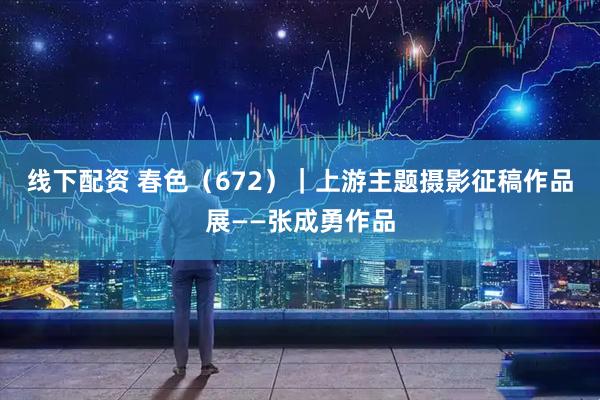 线下配资 春色（672）｜上游主题摄影征稿作品展——张成勇作品